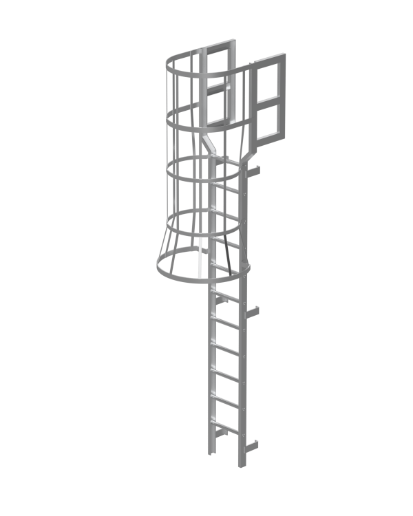 Ladder with Cage